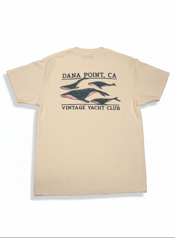 Whale Watching Tee - Faded Cream