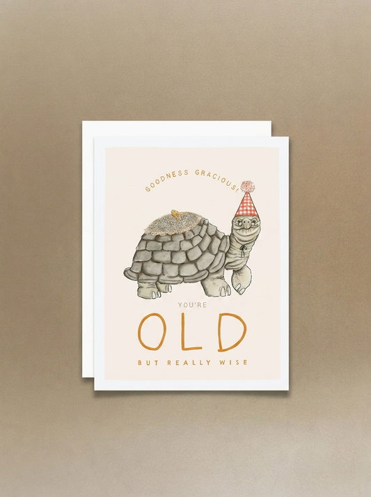 Old Turtle Greeting Card