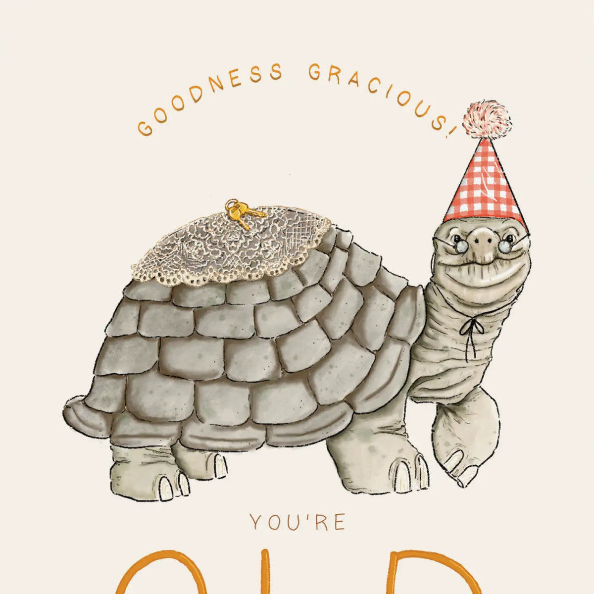 Old Turtle Greeting Card